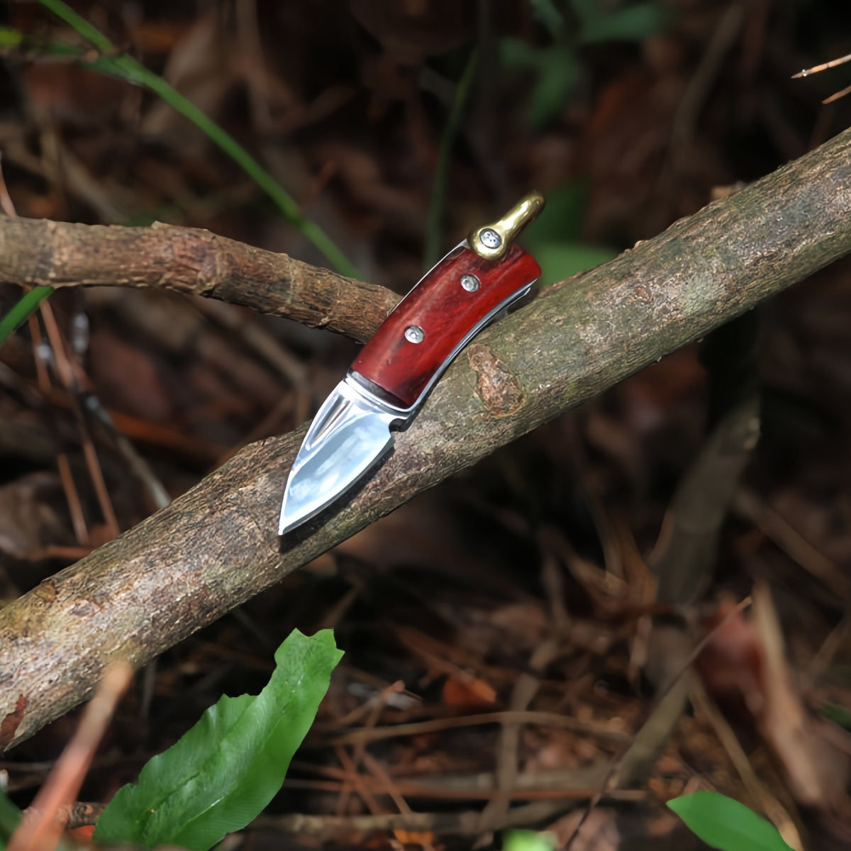 Portable Folding Pocket Knife with Wood Handle Brass Elements –Durable Steel Survival knife, Camping EDC Tool for Cutting